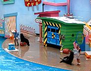 seaworld.jpg (10482 bytes)